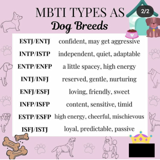 Double Feature: What Dog Breed are INTJs - Bryan C. Laesch